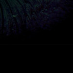 Reverser's avatar