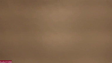 Zonko Drone Bella Ink